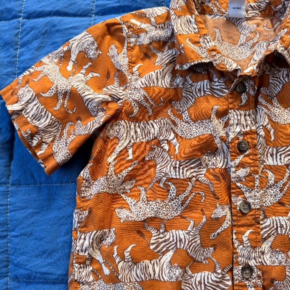 2 Boy’s Button Up Collared Shirts - Picture 2 of 3